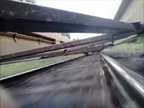 pauly punk riding suicide freight train