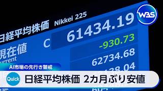 日経平均株価 2カ月ぶり安値 AI市場の先行き警戒【WBS】