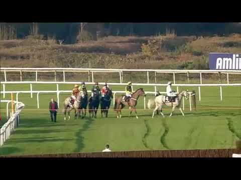 Master Minded Amlin 1965 Chase in 2011