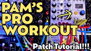 Video thumbnail for Euclidean Rhythms and Sequences using PAM'S PRO WORKOUT | Patch Walkthrough and Tutorial by Braintree56
