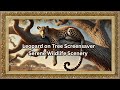 Relaxing 3H 4K Leopard On Tree Screensaver Serene Wildlife Scenery Screensaver Tvartgallery