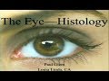 The Eye - Histology 8-18-2018 by Paul Giem The Eye - Histology 8-18-2018 by Paul Giem