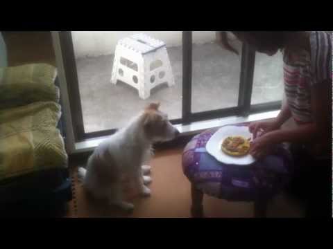 Cielo Birthday Cake 2012