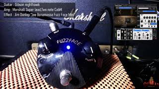 Dunlop FFM4 Joe Bonamassa Fuzz Face Mini - What To Know