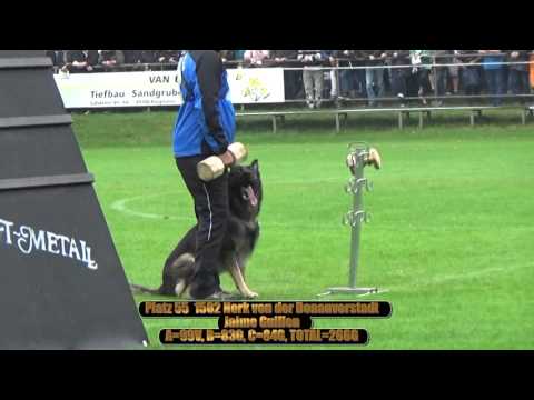 2015 SV BSP Meppen part 40 platz 55 1502 Nork von der Donauvorstadt  B=83