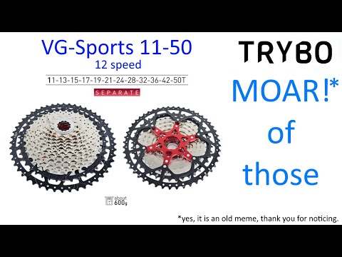 VG-Sports 12 speed cassette - after some usage. In winter.