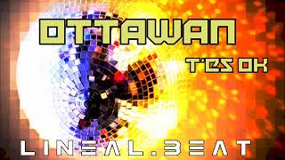 Ottawan  T&#39;es ok LineaL Beat remix 2016 réédit