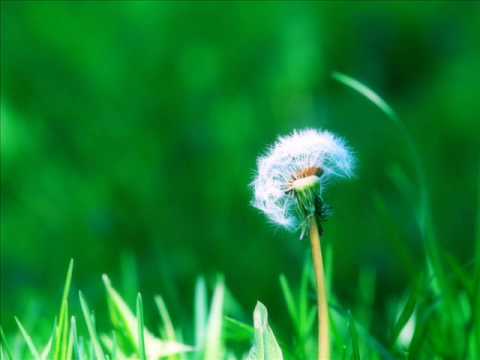 Lullatone - Good Morning Melody