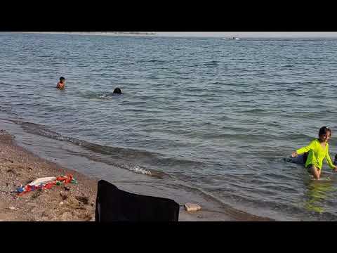 Sania Soha at the beach