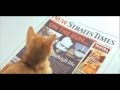 New STRAITS TIMES - 5 senses TVC Final - YouTube