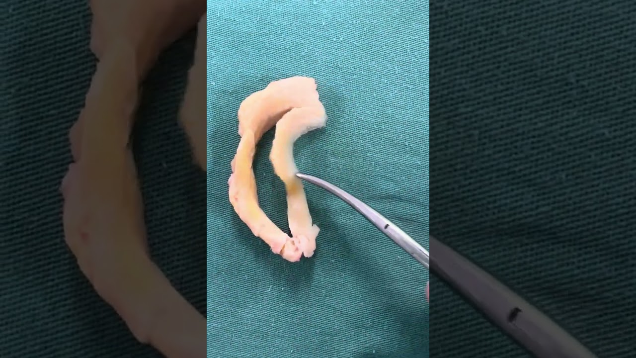 Rafael De Luca De Lucena-6