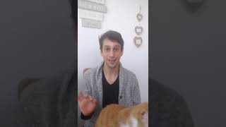 לפתוח את 2019 אחרת - ליצור את השינוי והקלות