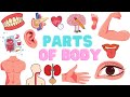 Parts Of The Body Body Parts For Kids Learn English Vocabulary For Kids External Body Parts