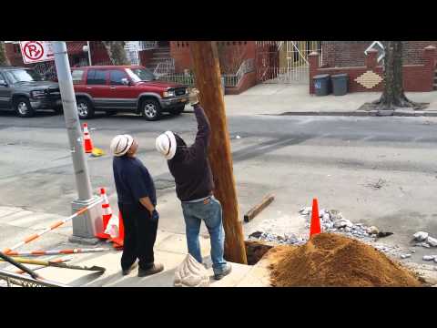 Types of Utility Poles- The Ultimate Guide