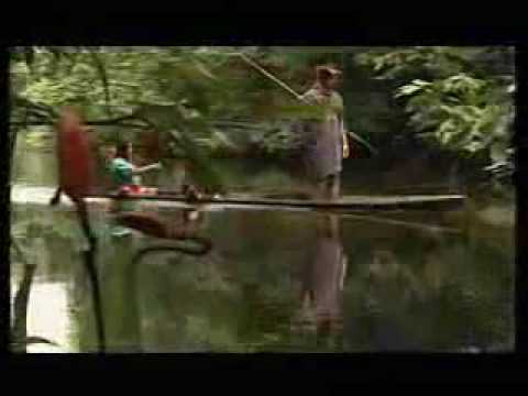 download lagu mp3 mp4 Peter Sue Marc Amazonas, download lagu Peter Sue Marc Amazonas gratis, unduh video klip Peter Sue Marc Amazonas