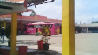 preview picture of video 'Live Preeport - Jakarta Wirosari Bareng Bus Suka Damai'