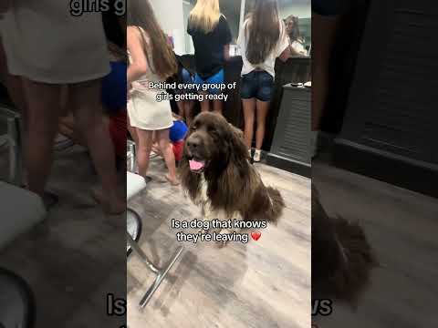 Can I go too, please?