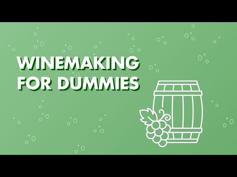 Winemaking for dummies
