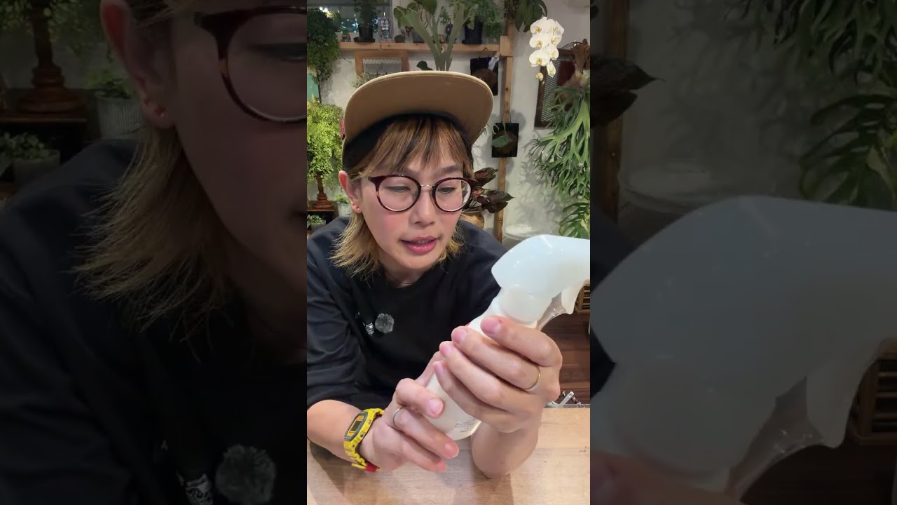 カイガラムシ、アブラムシ、ハダニでお困りの方はコレ‼️