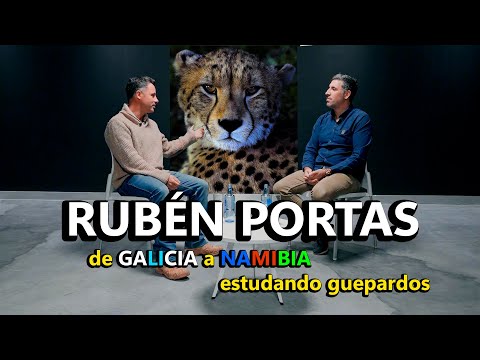 Vídeo: Rubén Portas. De Galicia a Namibia estudando guepardos