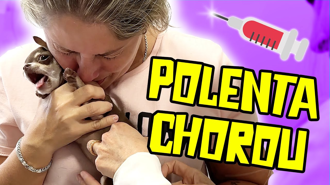 POLENTA BRINCOU NO RIACHÃO E CHOROU TOMANDO VACINA😭