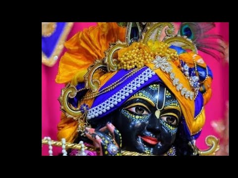 Diwali 🪔 diya decorations ✨️ 😍 by dynamic dave