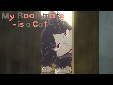 Caretaker | My Roommate is a Cat