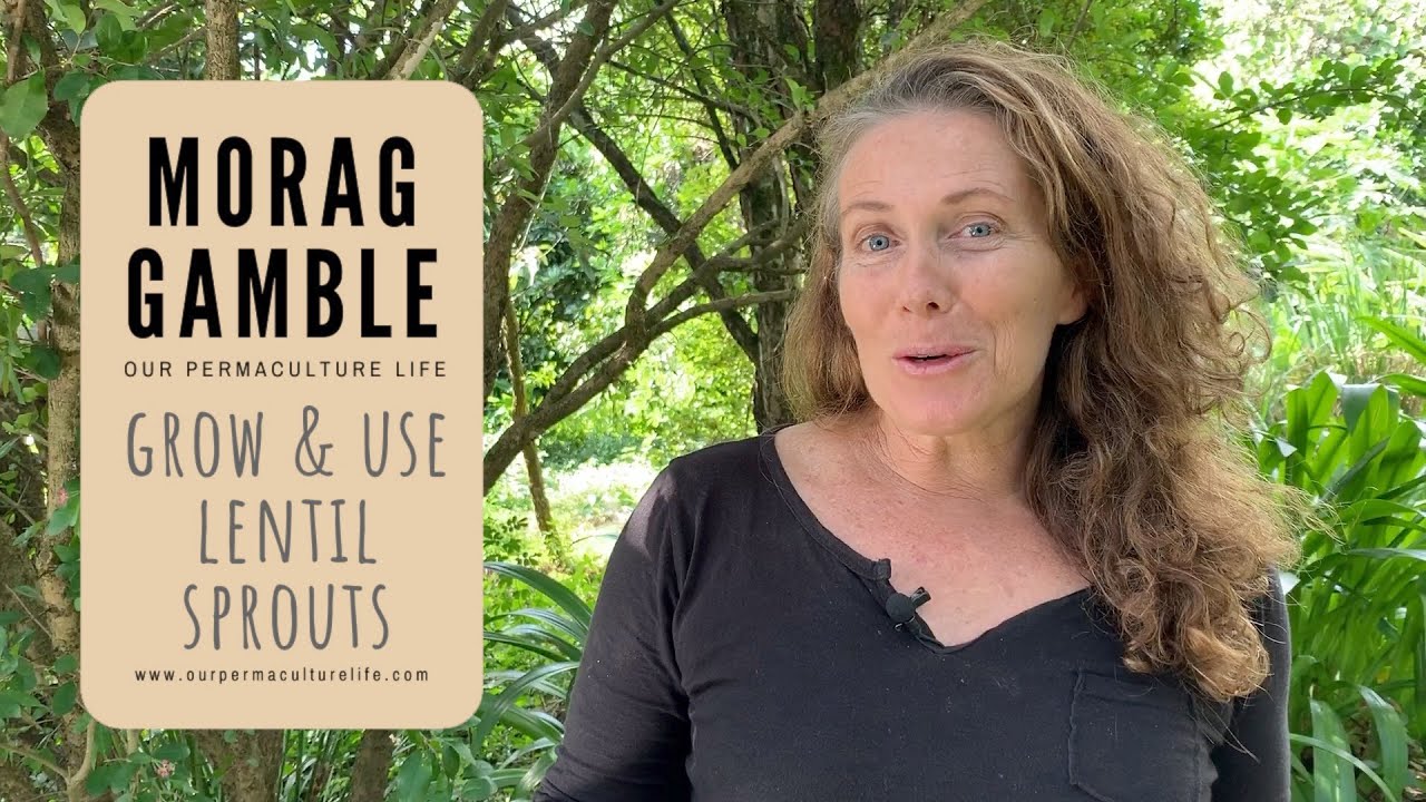 Sprouting Lentils with Morag Gamble - YouTube