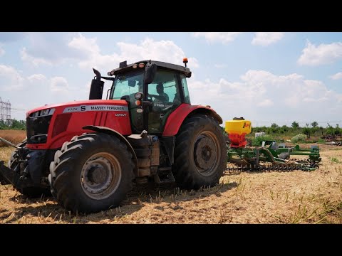 The first work after the rapeseed harvest. Why it is good to use the Kelly shallow stubble cultiv...