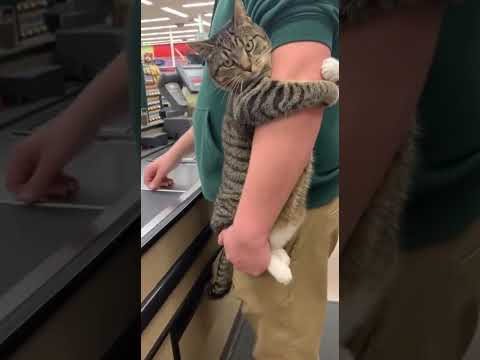 Estaba haciendo cola en la tienda de comestibles cuando me di cuenta de algo... Inusual 🤣🤣