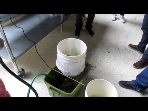 Lost Art of the Hashishin Workshop: Glass Bowl Cleaning