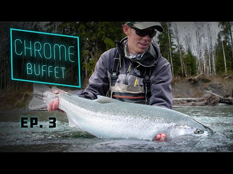 CHROME Buffet - GIANT Steelhead Olympic Peninsula Fishing