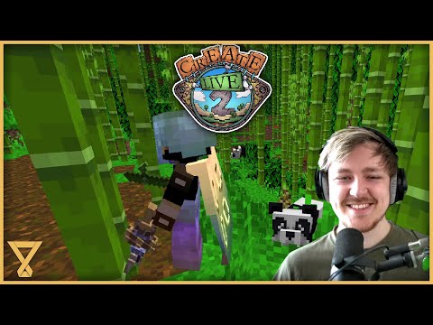 We're getting playful pandas! - with @Debitor - Create Live 2 #48