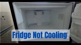 Frigidaire fridge not working, not cooling — easy fix