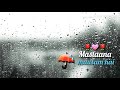 Dil Hai Tumhara ️ ️ Beautiful WhatsApp Status Video