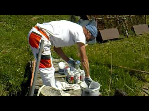 "NANO DANCE" ....ARCA IO....