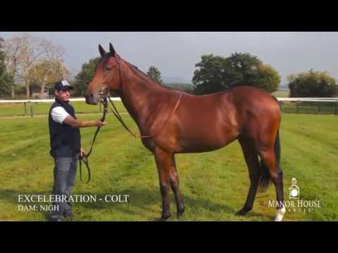 Excelebration ex Nigh