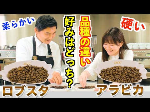 アラビカ種コーヒーのゲノムを詳細に解読