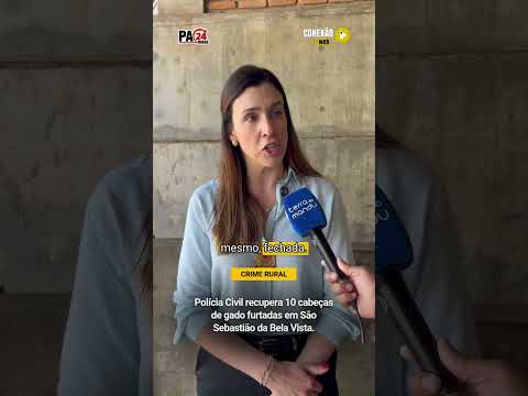Polícia Civil recupera 10 cabeças de gado furtadas em São Sebastião da Bela Vista.