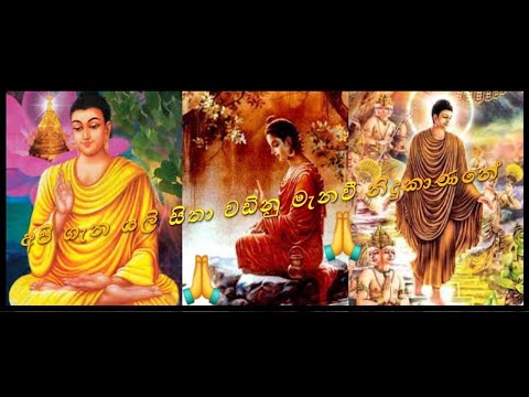 අපි ගැන යලි සිතා වඩිනූ මැනවි නිදුකාණනේ 🙏