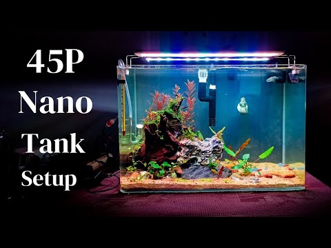 MY FAVOURITE WAY to Start a Planted Tank - Step by Step Aquascape Tutorial