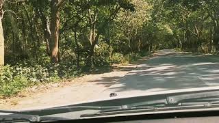 preview picture of video 'Kalesar national park drive.'