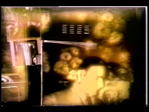 Kittens - The Coyote of Northern Italy (Official Video)