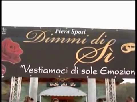 ONDA TG 24.11.2012 - FIERA DIMMI DI Sì