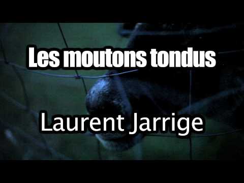 Laurent Jarrige + Les moutons tondus au Chat Noir