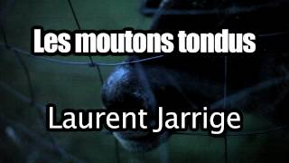 Laurent Jarrige + Les moutons tondus au Chat Noir