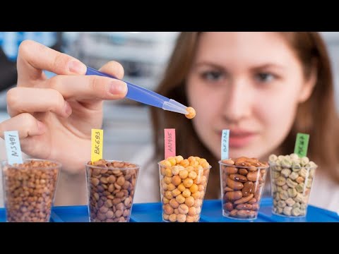 The Impact of Food Technology  Enhancing Safety, Quality, and Sustainability (3 Mins Microlearning)