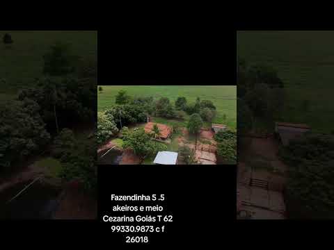 Cezarina fazenda  Goiás 5.5 akeiros vendas