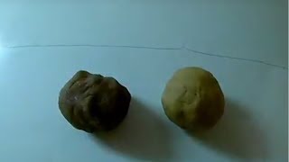 Какие приманки лучше всего для карася карпа и сазана