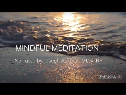 Mindful Meditation by Joseph Aslaner